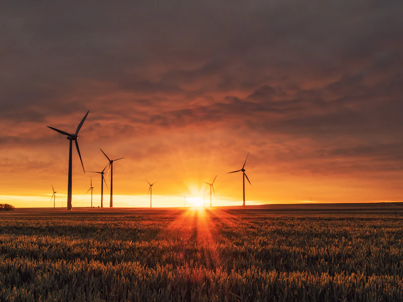 Argentina Investment: Signals Boards Should Wait For